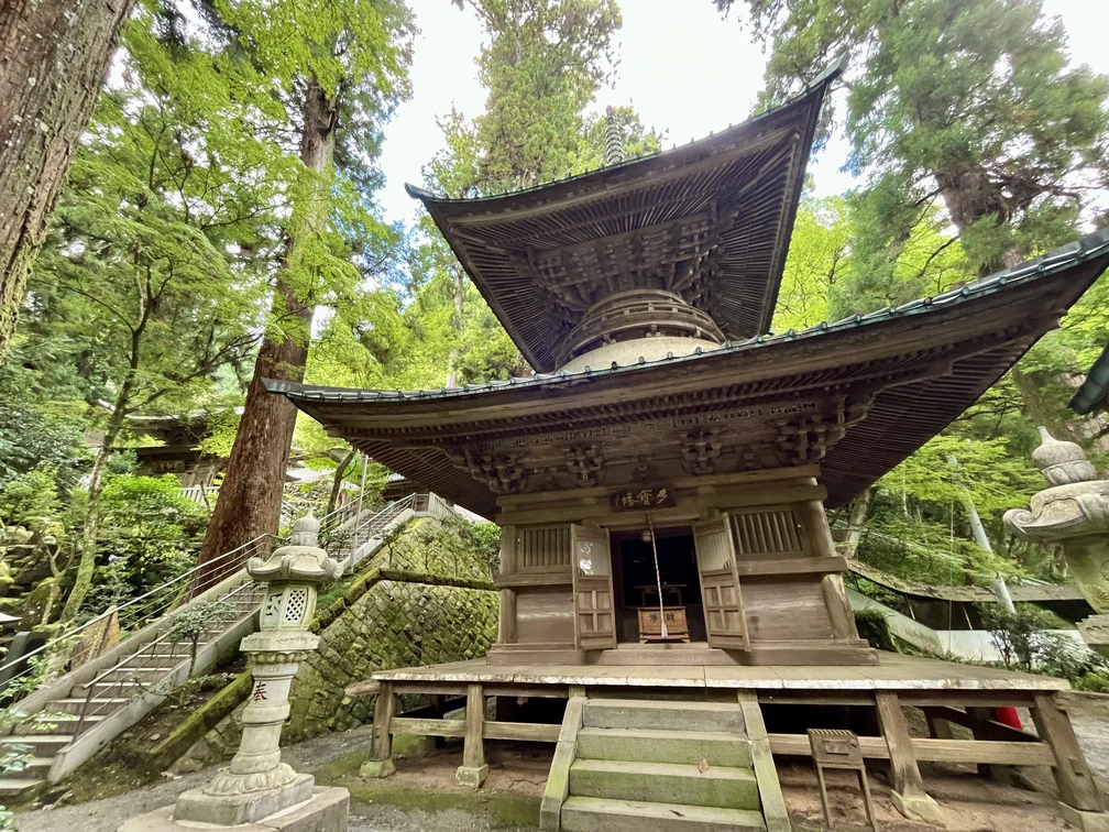 境内はとても広く、見ごたえのある伽藍が随所に。