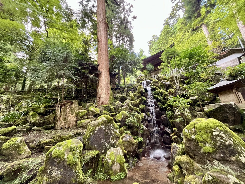 清水にも恵まれており、池や滝、苔むす岩を見ていますと、心が整ってきます。