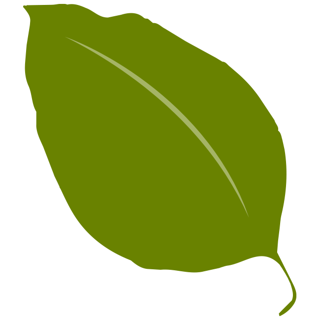 大雄山 最乗寺のバイク祈祷式